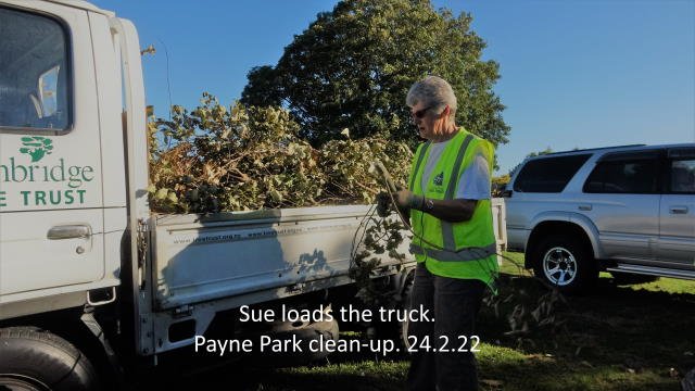 Cyclone Dovi clean-up